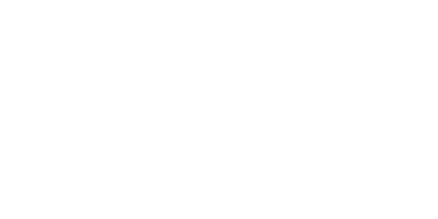 Autocollant de voiture premium japonais SubieLife compatible avec Subaru STI
