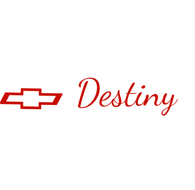 Custom Vinyl: Destiny - custom-order-1774877877047-(qty 1)