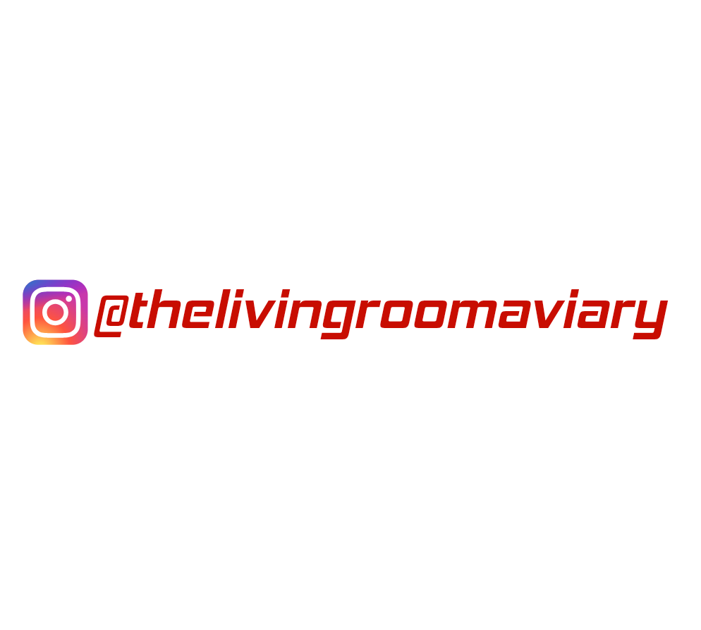 Custom Vinyl: @thelivingroomaviary - custom-order-1779129840067-(qty 2)