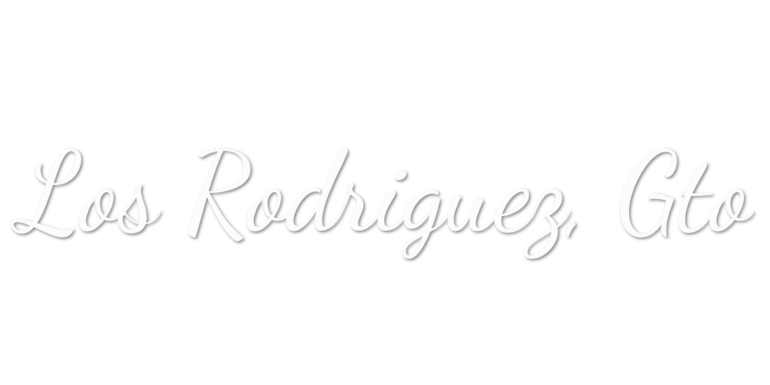 Custom Vinyl: Los Rodriguez, Gto - custom-order-1779130051773-(qty 2)