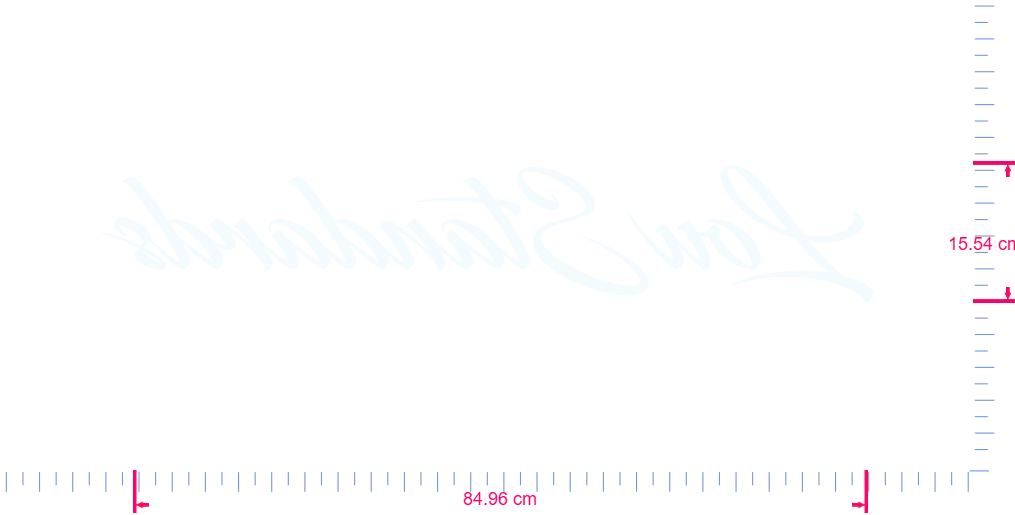 Text LowStandards Vinyl custom lettering decall/15.54 x 84.96 cm/ White /