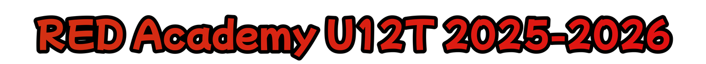 Custom Printed DieCut Stickers-Qty 25-RED Academy U12T 2025-2026 [6e6e457f542487de]