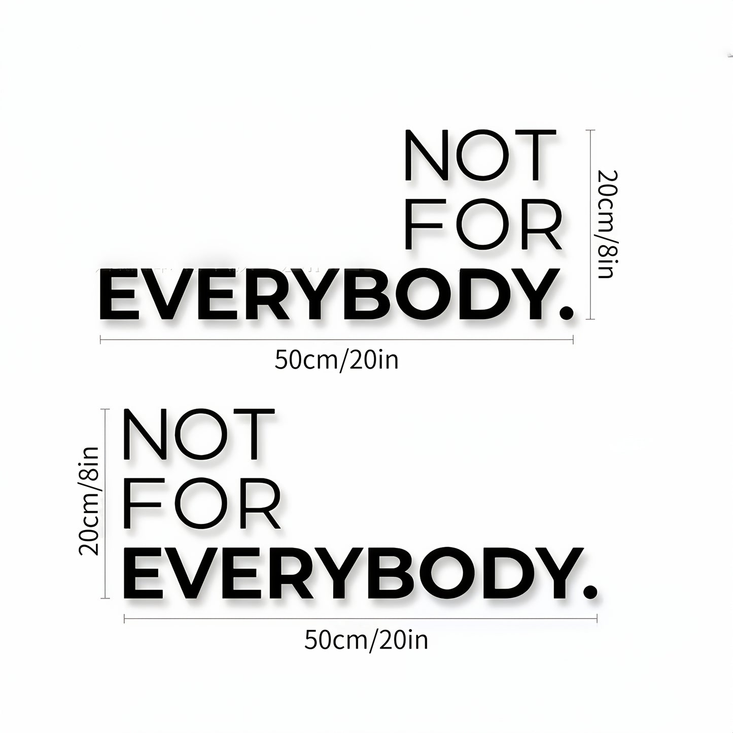 2 Sheets NOT FOR EVERYBOD Youngsters' Individual Modified Car Body Stickers