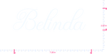 Text Belinda  Vinyl custom lettering decall/2.00 x 7.28 in/ White /