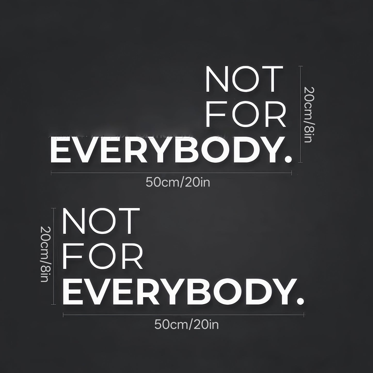 2 Sheets NOT FOR EVERYBOD Youngsters' Individual Modified Car Body Stickers