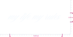 Text my life my rules  Vinyl custom lettering decall/2.25 x 13.59 cm/ White /