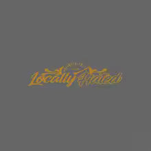 JDM locally Hated windshield low banner sticker