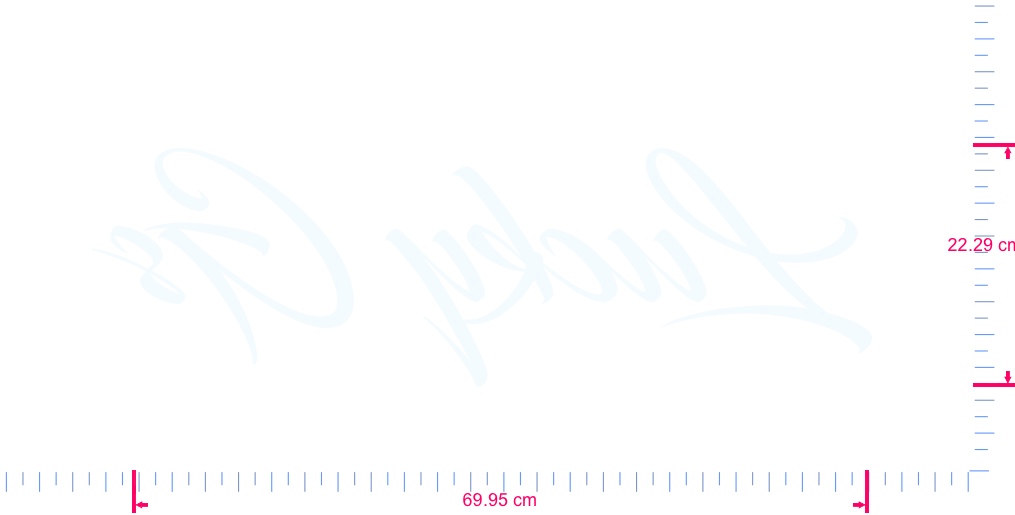 Text Lucky Gs Vinyl-Schriftzug-Aufkleber/22,29 x 69,95 cm/Weiß/
