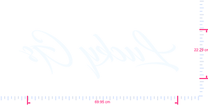 Text Lucky Gs Vinyl-Schriftzug-Aufkleber/22,29 x 69,95 cm/Weiß/
