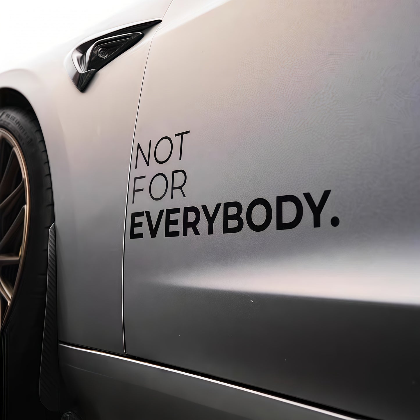 2 Sheets NOT FOR EVERYBOD Youngsters' Individual Modified Car Body Stickers