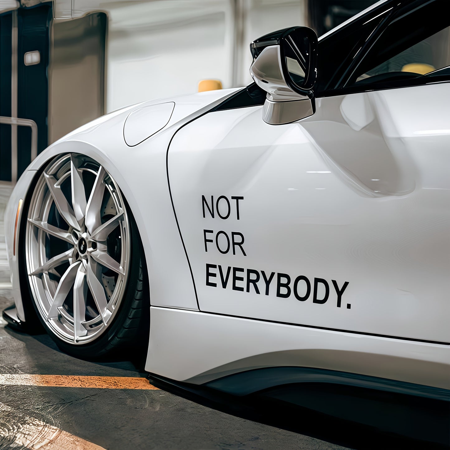 2 Sheets NOT FOR EVERYBOD Youngsters' Individual Modified Car Body Stickers