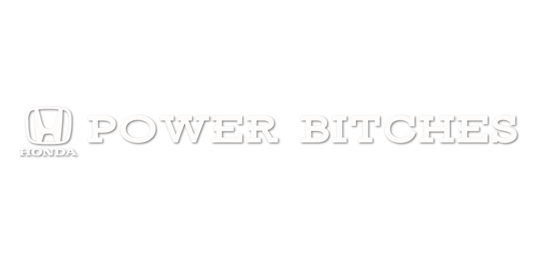 Custom Vinyl: POWER BITCHES - custom-order-1769993503430-(qty 1)