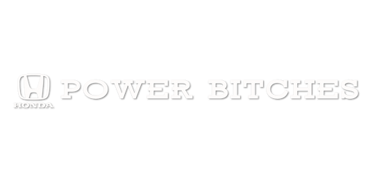 Custom Vinyl: POWER BITCHES - custom-order-1769993503430-(qty 1)