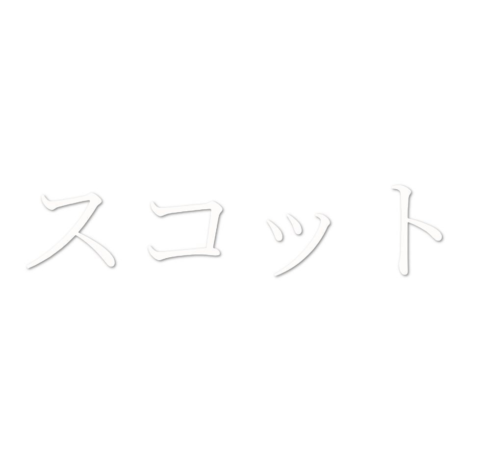 Custom Vinyl: スコット - custom-order-1772495090268-(qty 1)