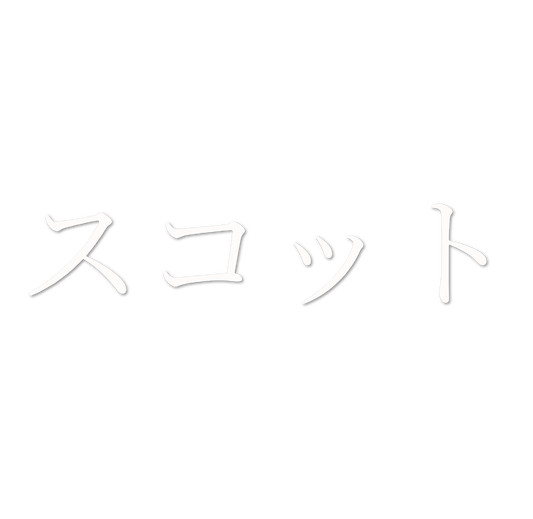 Custom Vinyl: スコット - custom-order-1772495090268-(qty 1)