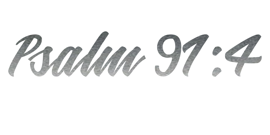 Custom Vinyl: Psalm 91:4 - custom-order-1774450551979-(qty 1)