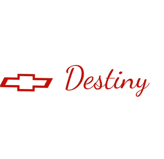 Custom Vinyl: Destiny  - custom-order-1774877877047-(qty 1)