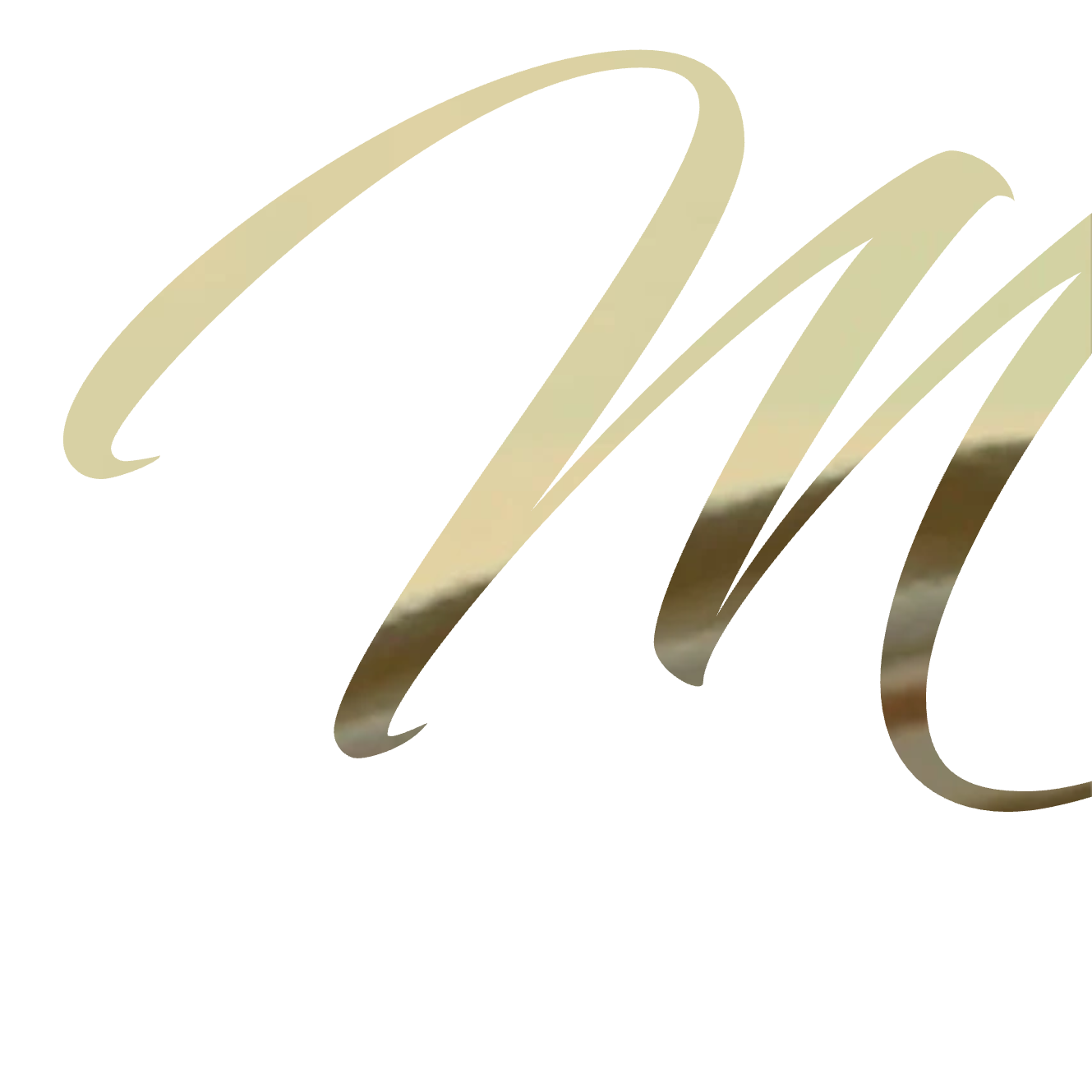 Custom Vinyl: M - custom-order-1776735109607-(qty 1)