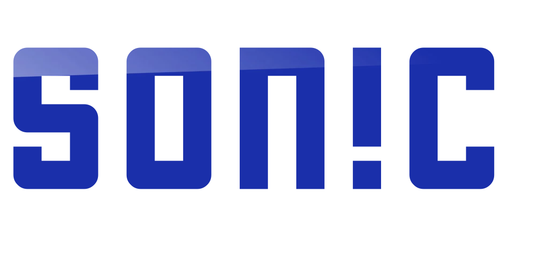Custom Vinyl: SON!C - custom-order-1777580311152-(qty 1)