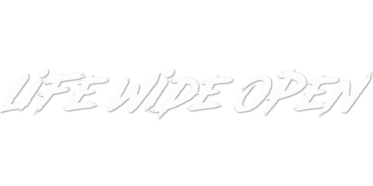 Custom Vinyl: Life Wide Open - custom-order-1778880489035-(qty 1)
