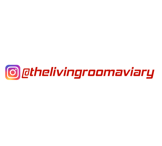 Custom Vinyl: @thelivingroomaviary - custom-order-1779129840067-(qty 2)