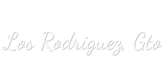 Custom Vinyl: Los Rodriguez, Gto - custom-order-1779130051773-(qty 2)