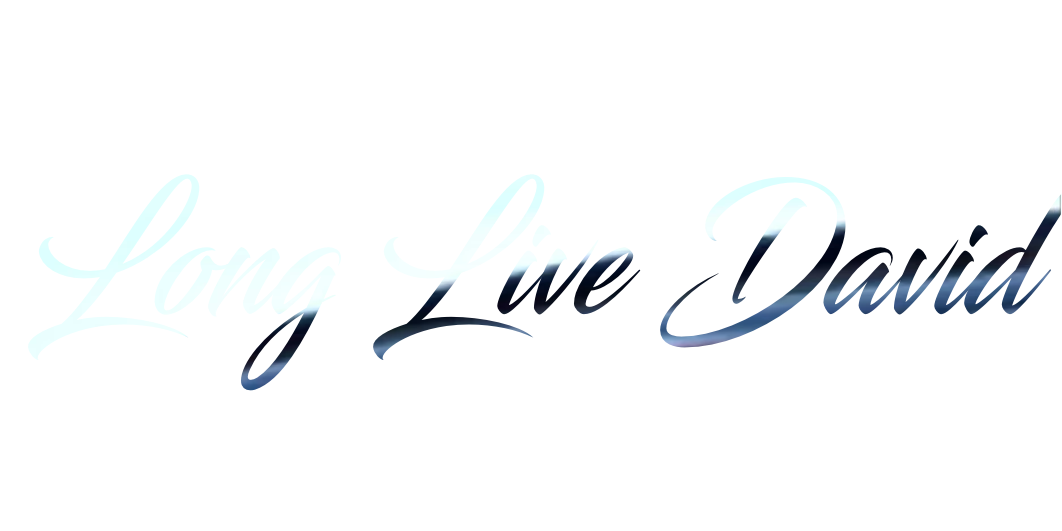 Custom Vinyl: Long Live David - custom-order-1779516083946-(qty 1)