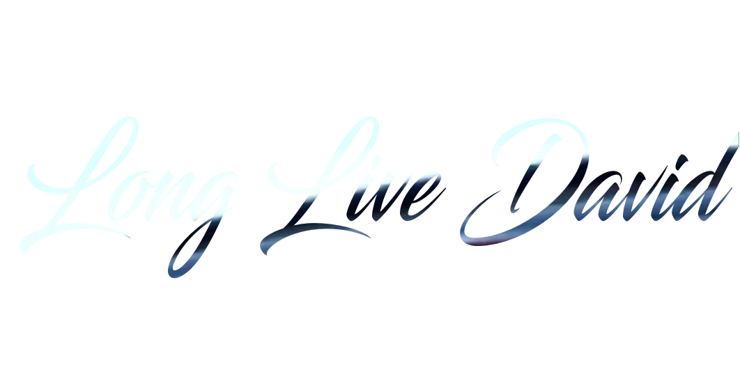 Custom Vinyl: Long Live David - custom-order-1779758004221-(qty 1)