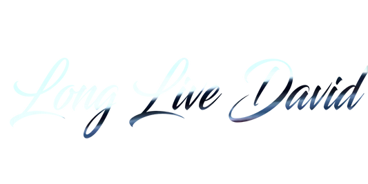 Custom Vinyl: Long Live David - custom-order-1779758004221-(qty 1)