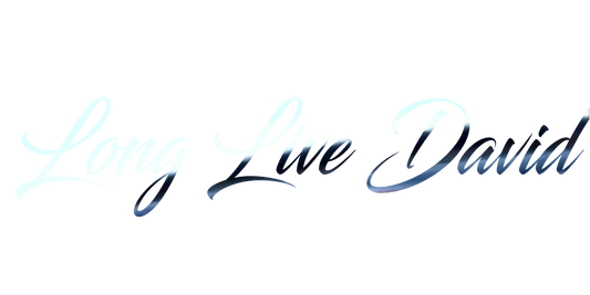 Custom Vinyl: Long Live David - custom-order-1779758142202-(qty 1)
