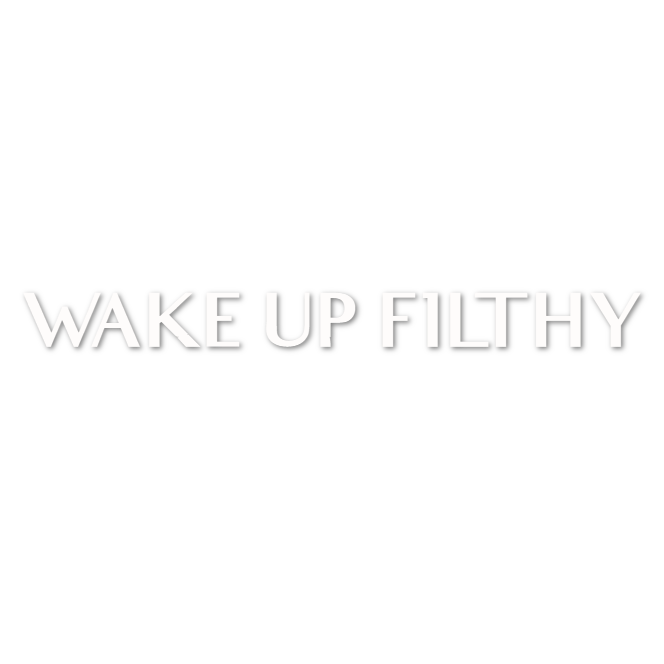 Custom Vinyl: WAKE UP F1LTHY - custom-order-1781269389288-(qty 1)