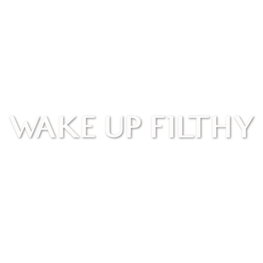 Custom Vinyl: WAKE UP F1LTHY - custom-order-1781269389288-(qty 1)