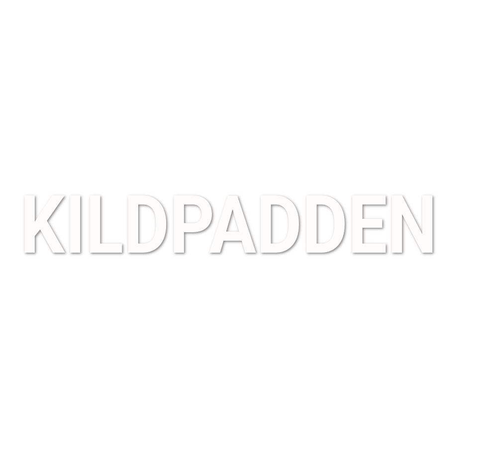 Custom Vinyl: KILDPADDEN   - custom-order-1783704084222-(qty 1)