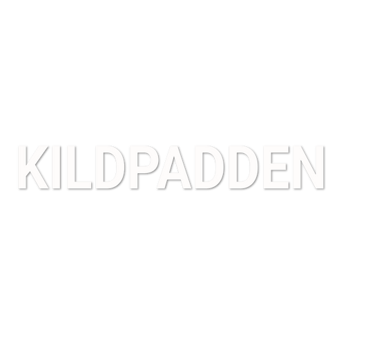 Custom Vinyl: KILDPADDEN   - custom-order-1783704084222-(qty 1)