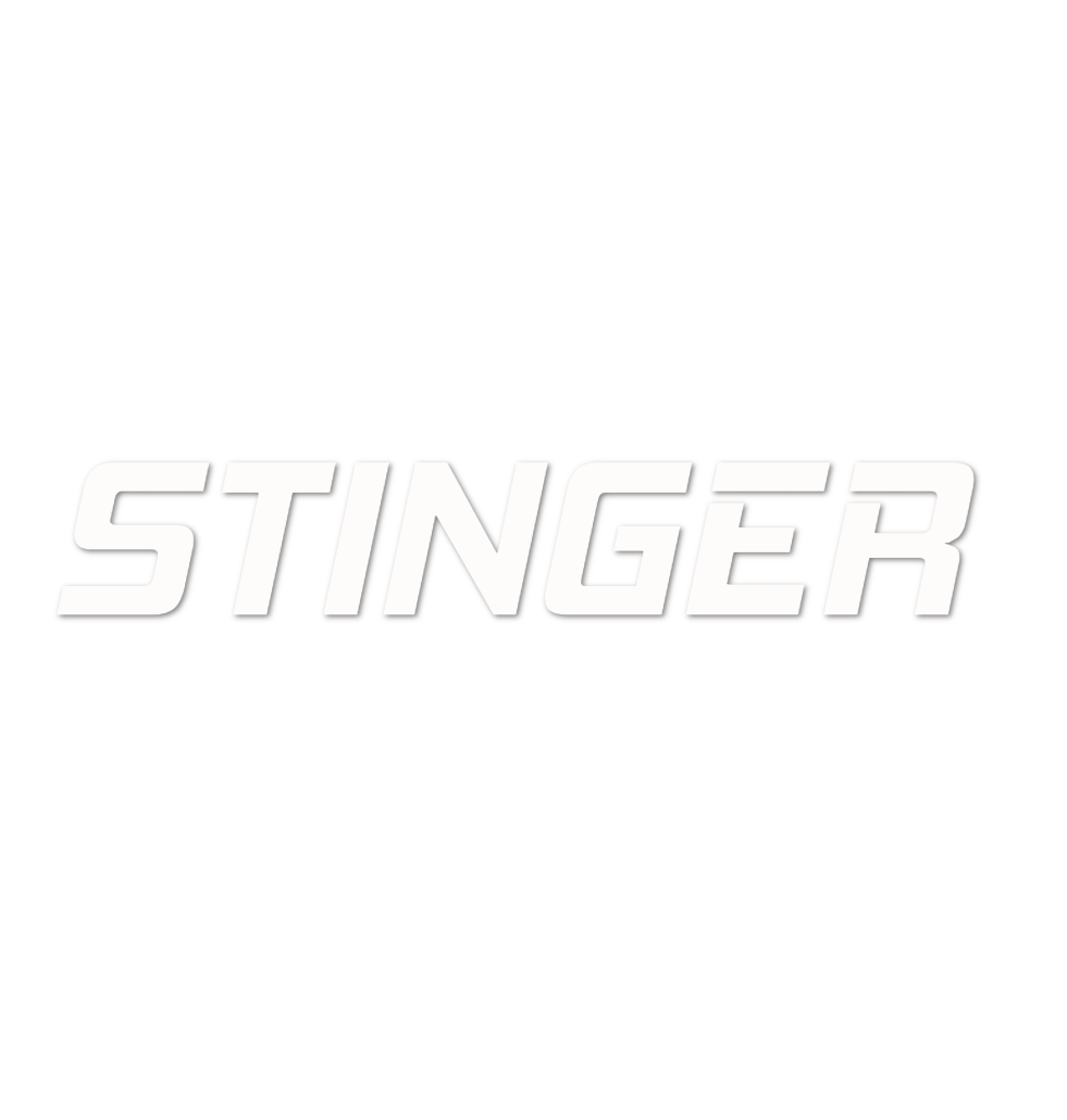 Custom Vinyl: STINGER  - custom-order-1787563726842-(qty 2)