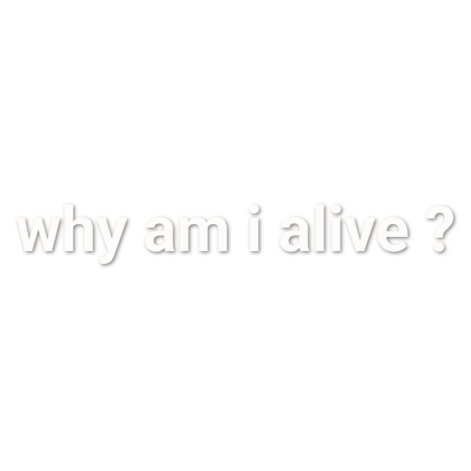Custom Vinyl: why am i alive ? - custom-order-1792027823345-(qty 1)