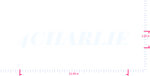Text 4charlie Vinyl custom lettering decall/3.55 x 23.99 in/ White /