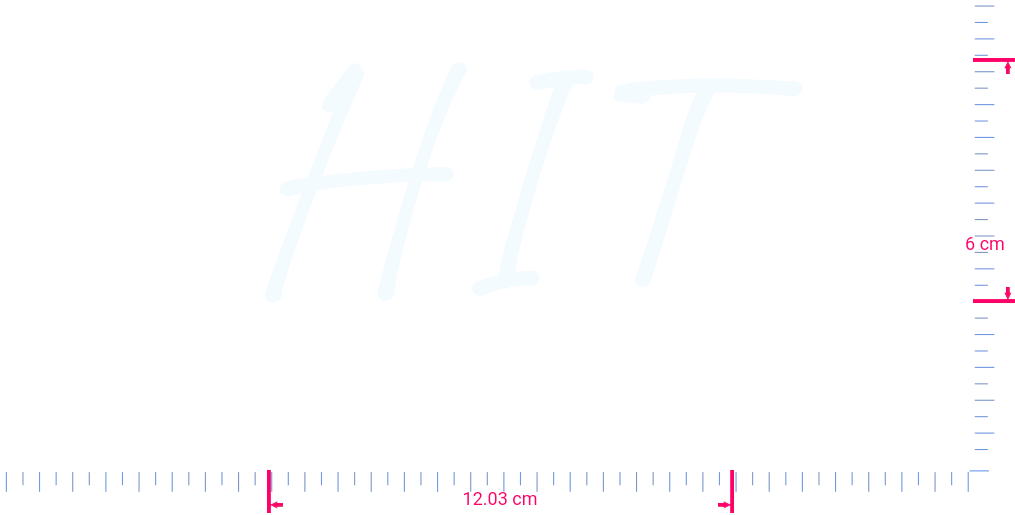 Text HIT Vinyl custom lettering decall/6 x 12.03 cm/ White /