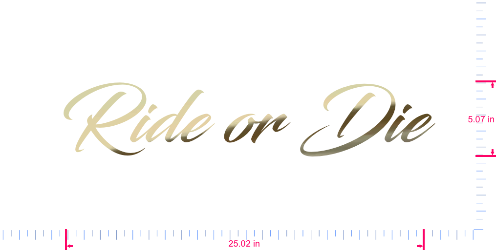 Text Ride or Die Vinyl-Aufkleber mit individuellem Schriftzug / 5,07 x 25,02 Zoll / Goldchrom /