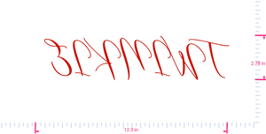 Text TWINKIE  Vinyl custom lettering decall/2.78 x 12.3 in/ Red /