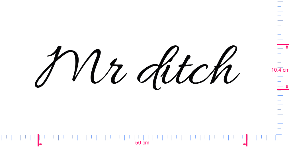 Text Mr ditch  Vinyl custom lettering decall/10.4 x 50 cm/ Black /