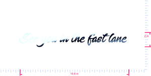 Text See you in the fast lane  Vinyl custom lettering decall/2 x 15.6 in/ Mirror Chrome /
