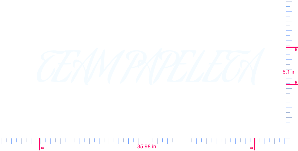 Text TEAM PAPELETA Vinyl custom lettering decall/6.1 x 35.98 in/ White /
