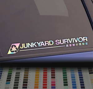 Junkyard Survivor