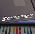 Junkyard Survivor