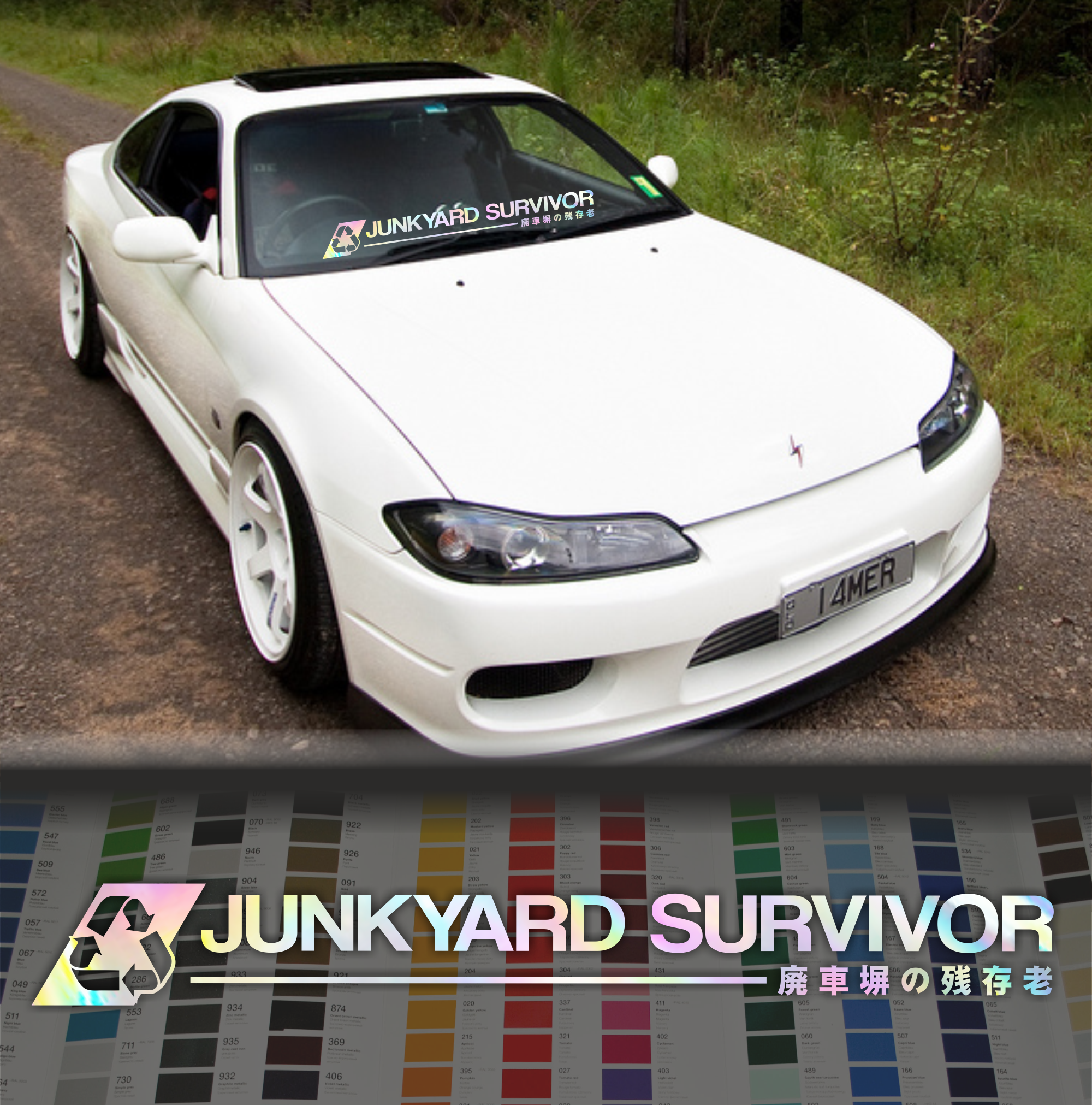 Junkyard Survivor