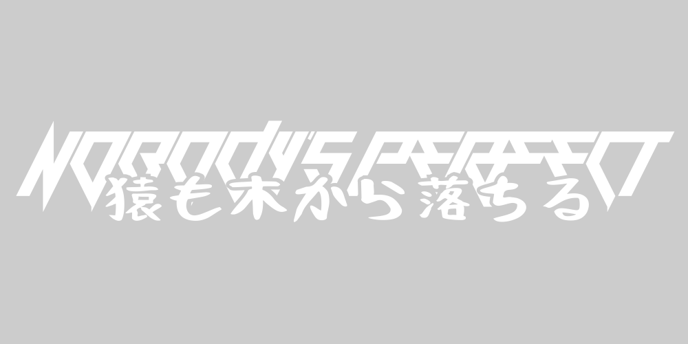 Nobody's perfect decal
