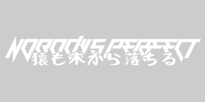 Nobody's perfect decal